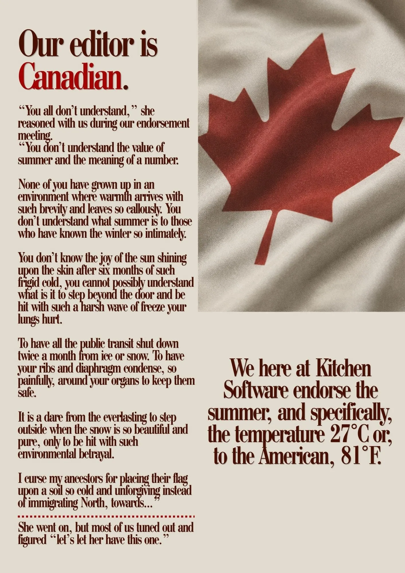 Cover image for Kitchen Software Endorses The Heat