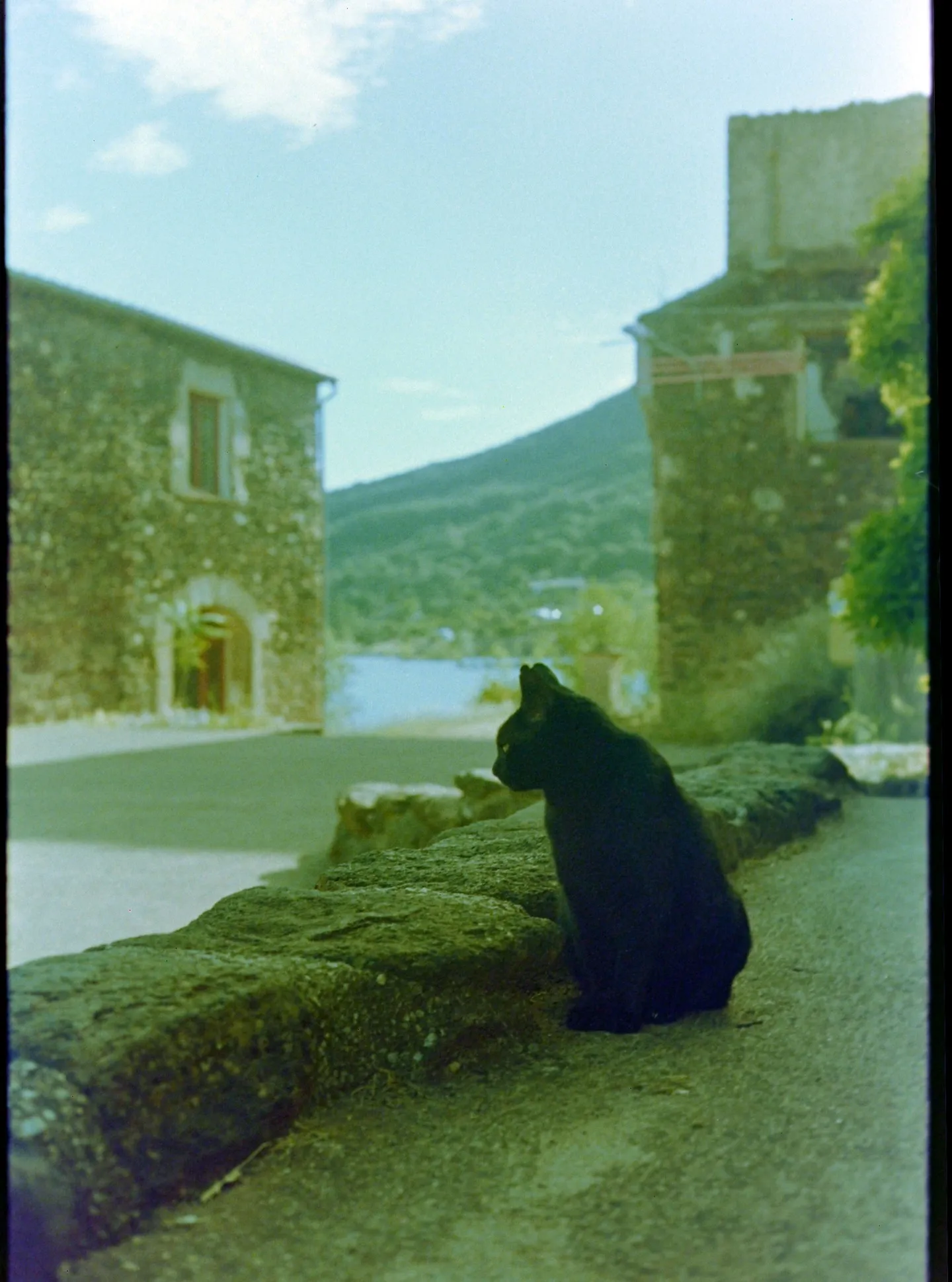 A black cat sitting on a stone wall in a hillside village, sea beyond.